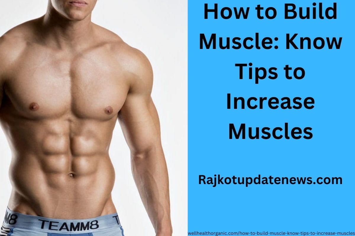 How to Build Muscle: Know Tips to Increase Muscles